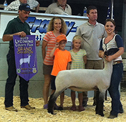 Shroyer Showstock